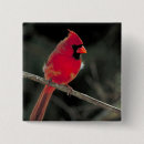 Search for red cardinal bird badges Wildlife