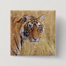 Search for bengals badges Endangered