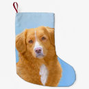 Search for duck christmas stockings Dog