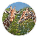 Search for zoo animal knobs and pulls Spots