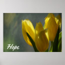 Search for hope posters Peace