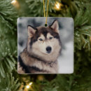 Search for siberian husky christmas tree decorations Alaskan malamute