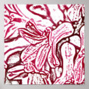 Search for hyacinth posters Nature