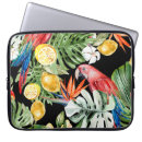Search for escape cases Summer