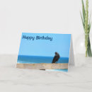 Search for evil eyes cards Black