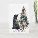 Search for lab christmas cards Xmas