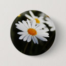 Search for daisy picture badges Floral