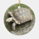 Search for sea life for christmas tree decorations Tortoise