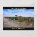 Search for viticulture postcards Farm