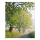 Search for trees in fog art Green