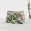 Search for painted turtle cards Wildlife