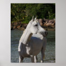 Search for water animal art Standing
