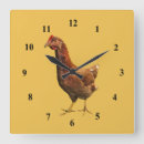 Search for chicken clocks Hens