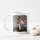 Search for cubs mugs Cute