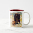Search for angus mugs Bull