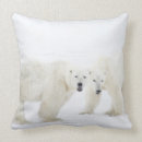 Search for anger cushions Animal