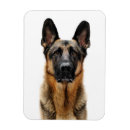 Search for dog ear magnets Animal