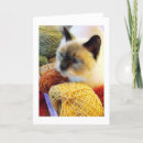 Search for yarn skein postcards Skeins