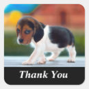 Search for cute beagle stickers Dogs