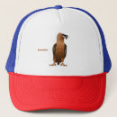 Search for vultures hats Bird