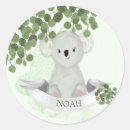Search for koala baby stickers Boy