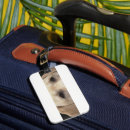 Search for retriever travel accessories Yellow lab