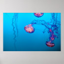 Search for jellies posters Vintage