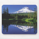 Search for peak electronics Reflection