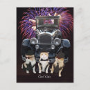 Search for cool cat postcards Kitty