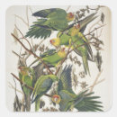 Search for john audubon stickers Illustration