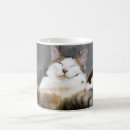 Search for cat bed mugs Animal