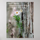 Search for daisy flower art Quote