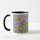 Search for drummond mugs Wildflower