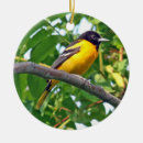Search for oriole christmas tree decorations Wildlife