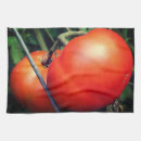 Search for food photography tea towels Red