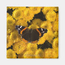 Search for butterfly magnets Horizontal