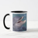 Search for bottlenose dolphin mugs Aquatic