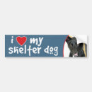 Search for shelter bumper stickers Dog
