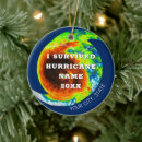 Search for survivor christmas tree decorations I survived