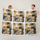 Search for kangaroo blankets Marsupial