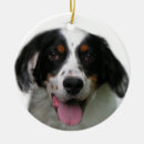 Search for english setter christmas tree decorations Dog