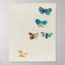 Search for vintage butterfly posters Illustration