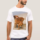 Search for yak tshirts Nature