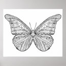 Search for butterfly mandala art Zendala