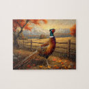 Search for pheasant puzzles Ring necked pheasant