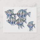Search for underwater painting postcards Fish
