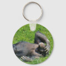 Search for chimp monkey key rings Animal