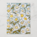 Search for flower illustration postcards Flowers
