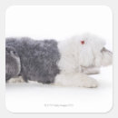 Search for old english sheepdogs stickers Animal