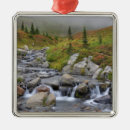 Search for mt rainier christmas tree decorations Scenic